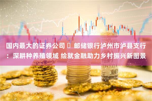 国内最大的证券公司 ​邮储银行泸州市泸县支行：深耕种养殖领域 绘就金融助力乡村振兴新图景